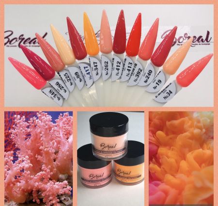 Poudre Boreal Corail/Orange
